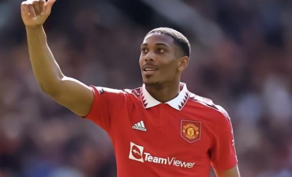 初期的一个 初期的一个